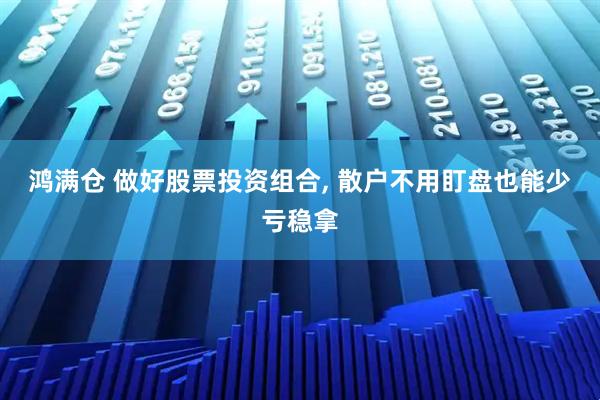 鸿满仓 做好股票投资组合, 散户不用盯盘也能少亏稳拿
