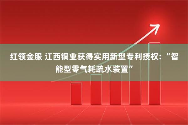 红领金服 江西铜业获得实用新型专利授权: “智能型零气耗疏水装置”