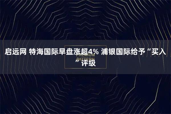 启远网 特海国际早盘涨超4% 浦银国际给予“买入”评级