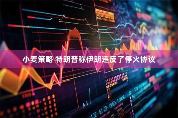 小麦策略 特朗普称伊朗违反了停火协议