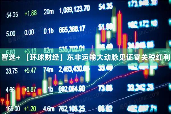智选+ 【环球财经】东非运输大动脉见证零关税红利