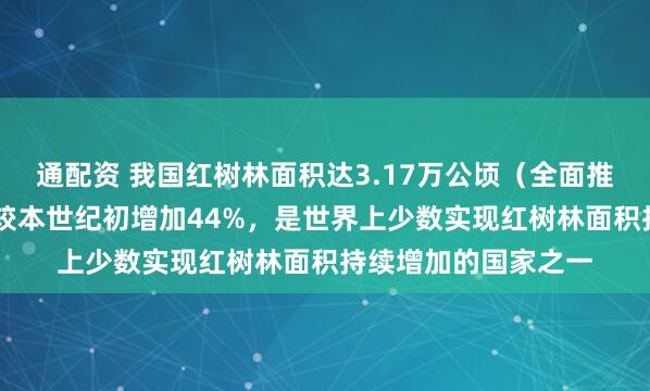 通配资 我国红树林面积达3.17万公顷（全面推进美丽中国建设） 较本世纪初增加44%，是世界上少数实现红树林面积持续增加的国家之一