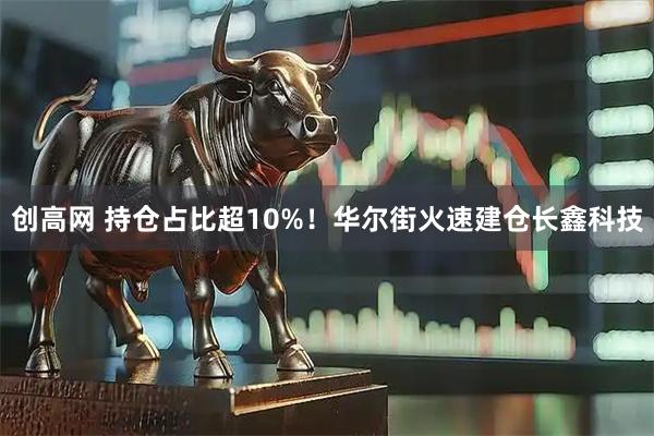 创高网 持仓占比超10%！华尔街火速建仓长鑫科技
