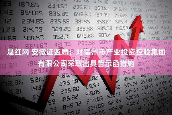 晟红网 安徽证监局：对宿州市产业投资控股集团有限公司采取出具警示函措施